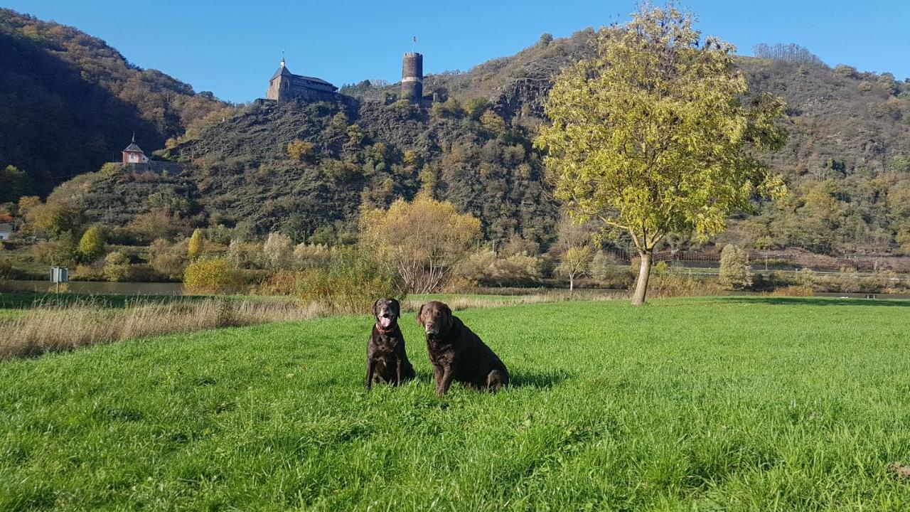 Ferienhaus Leopold Mit Burgblick An Der Mosel Burgen  Exterior foto