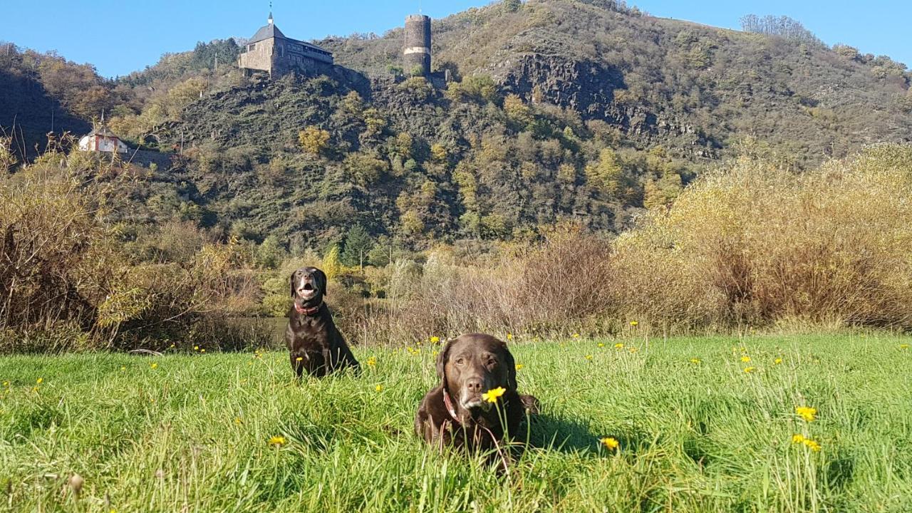 Ferienhaus Leopold Mit Burgblick An Der Mosel Burgen  Exterior foto